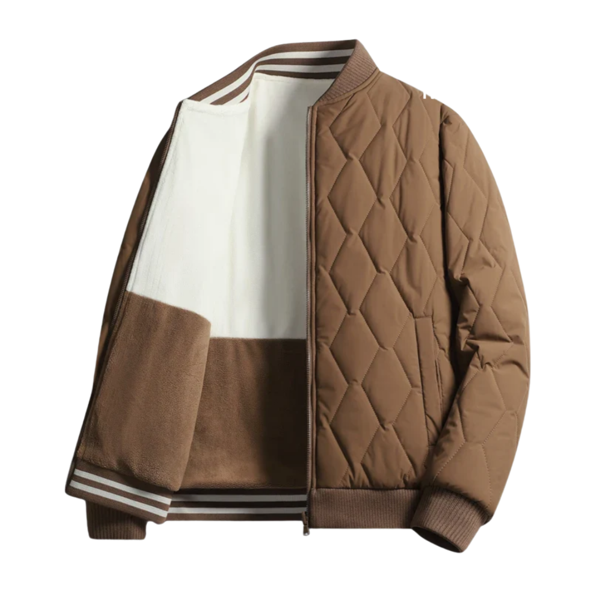 Chaqueta  | EDICION LIMITADA