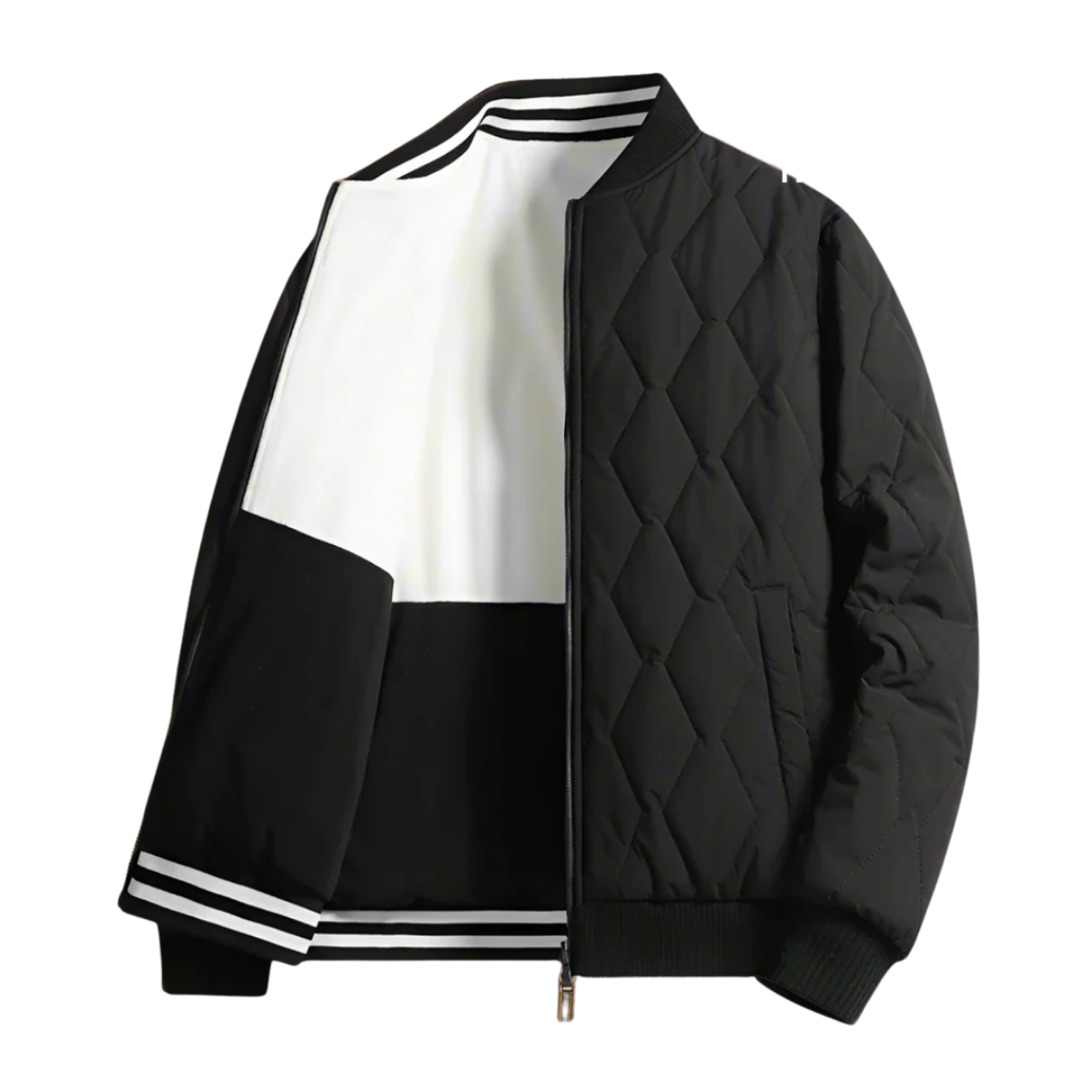 Chaqueta  | EDICION LIMITADA