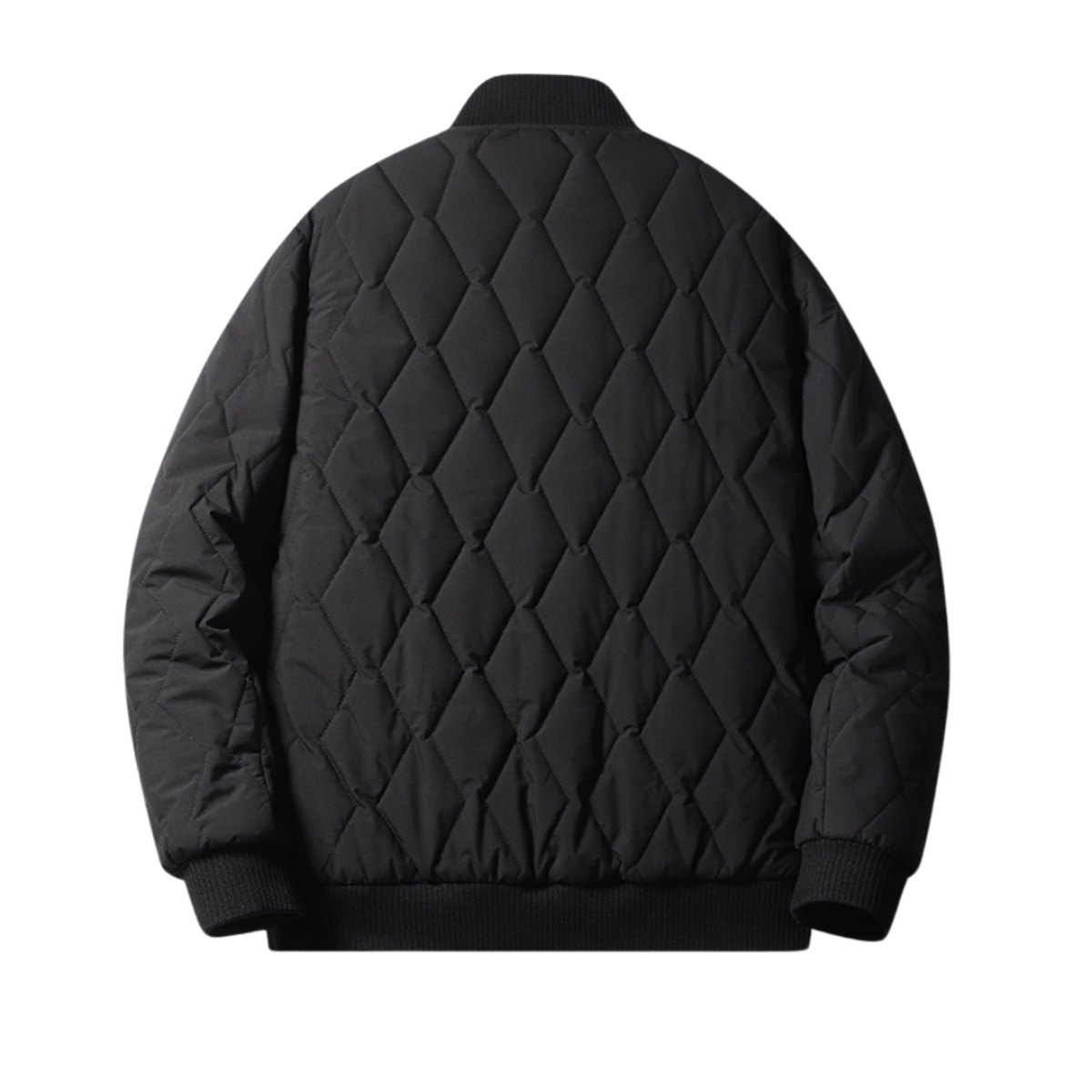 Chaqueta  | EDICION LIMITADA